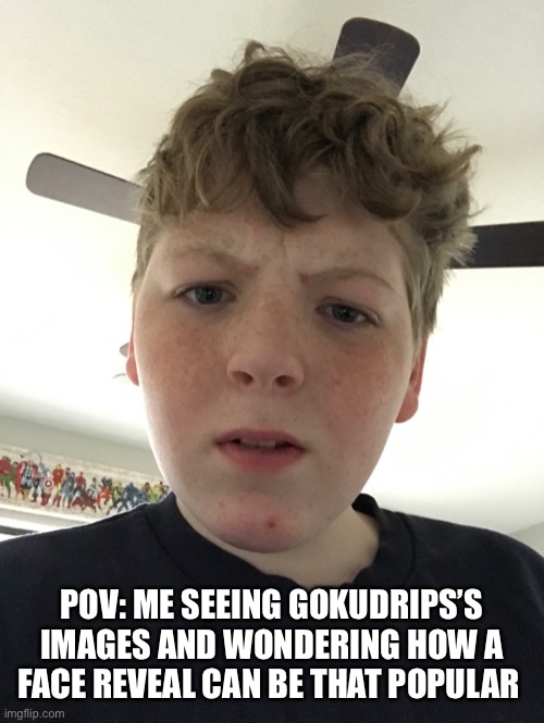 I mean if he can do it... | POV: ME SEEING GOKUDRIPS’S IMAGES AND WONDERING HOW A FACE REVEAL CAN BE THAT POPULAR | image tagged in face reveal,viral,goku drip | made w/ Imgflip meme maker