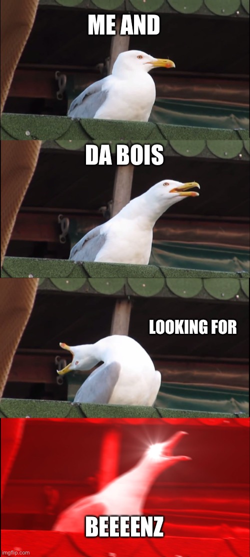 Inhaling Seagull | ME AND; DA BOIS; LOOKING FOR; BEEEENZ | image tagged in memes,inhaling seagull | made w/ Imgflip meme maker