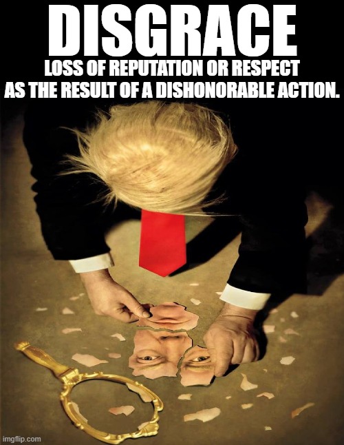 DISGRACE | DISGRACE; LOSS OF REPUTATION OR RESPECT AS THE RESULT OF A DISHONORABLE ACTION. | image tagged in disgrace,respect,reputation,dishonorable,shame,discredit | made w/ Imgflip meme maker