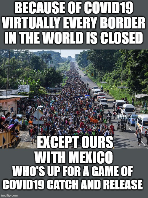 yep | BECAUSE OF COVID19 VIRTUALLY EVERY BORDER IN THE WORLD IS CLOSED; EXCEPT OURS WITH MEXICO; WHO'S UP FOR A GAME OF COVID19 CATCH AND RELEASE | image tagged in fake border,democrats,fascism | made w/ Imgflip meme maker