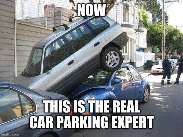 Car parking  | NOW THIS IS THE REAL CAR PARKING EXPERT | image tagged in car parking | made w/ Imgflip meme maker