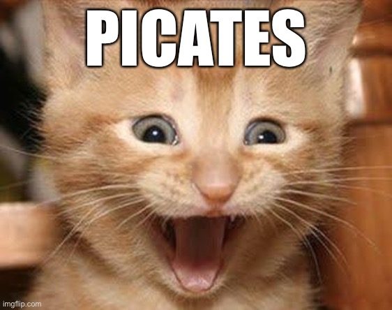Excited Cat | PICATES | image tagged in memes,excited cat,fitness | made w/ Imgflip meme maker