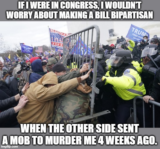 Maybe it's me | IF I WERE IN CONGRESS, I WOULDN'T WORRY ABOUT MAKING A BILL BIPARTISAN; WHEN THE OTHER SIDE SENT A MOB TO MURDER ME 4 WEEKS AGO. | image tagged in pro-trump riot | made w/ Imgflip meme maker