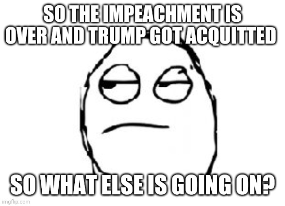 So yeah, that outcome was pretty predictable.  Moving on now. | SO THE IMPEACHMENT IS OVER AND TRUMP GOT ACQUITTED; SO WHAT ELSE IS GOING ON? | image tagged in meh,impeachment | made w/ Imgflip meme maker