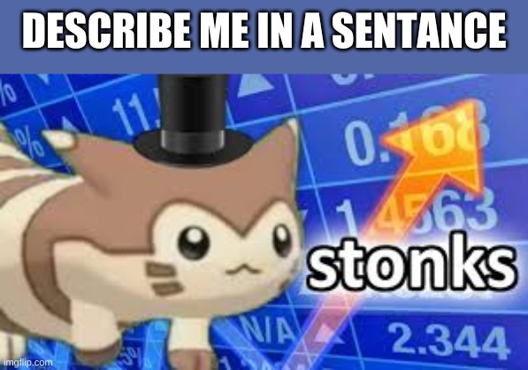 Furret stonks | DESCRIBE ME IN A SENTANCE | image tagged in furret stonks | made w/ Imgflip meme maker