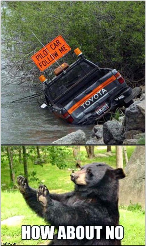 Don't Follow This Car ! | image tagged in fun,follow,how about no bear | made w/ Imgflip meme maker