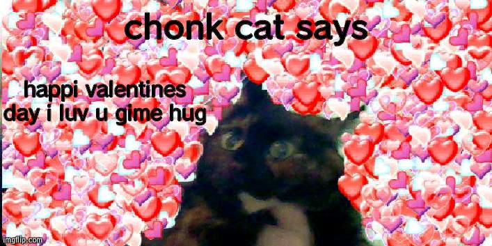 chonk cat | chonk cat says; happi valentines day i luv u gime hug | image tagged in chonk cat | made w/ Imgflip meme maker