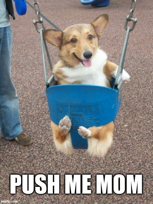 PUSH ME MOM | image tagged in dogs | made w/ Imgflip meme maker