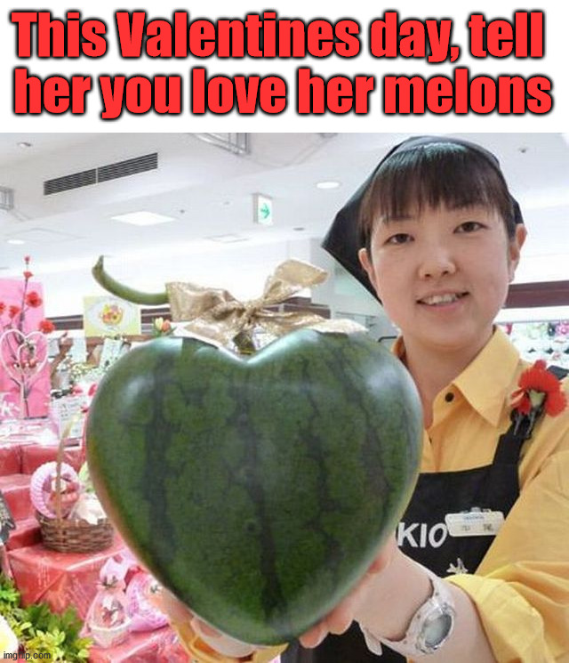 She might even laugh. | This Valentines day, tell 
her you love her melons | image tagged in valentine's day,funny meme | made w/ Imgflip meme maker
