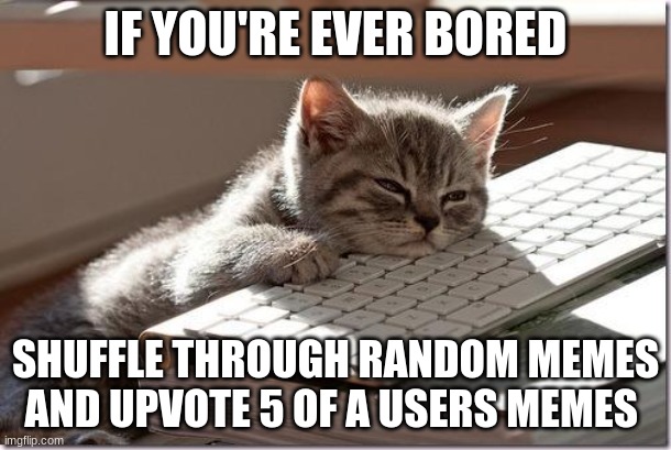 go forth! | IF YOU'RE EVER BORED; SHUFFLE THROUGH RANDOM MEMES AND UPVOTE 5 OF A USERS MEMES | image tagged in bored keyboard cat | made w/ Imgflip meme maker