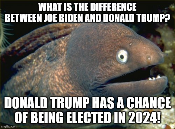 45 = 47? | WHAT IS THE DIFFERENCE BETWEEN JOE BIDEN AND DONALD TRUMP? DONALD TRUMP HAS A CHANCE OF BEING ELECTED IN 2024! | image tagged in memes,bad joke eel,donald trump,joe biden | made w/ Imgflip meme maker