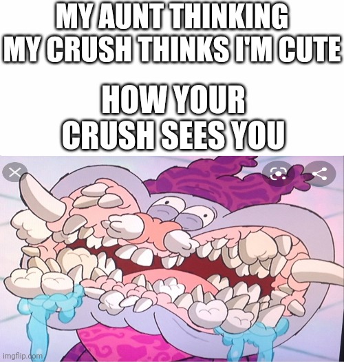 MY AUNT THINKING MY CRUSH THINKS I'M CUTE; HOW YOUR CRUSH SEES YOU | image tagged in white background,boys vs girls,girls vs boys | made w/ Imgflip meme maker