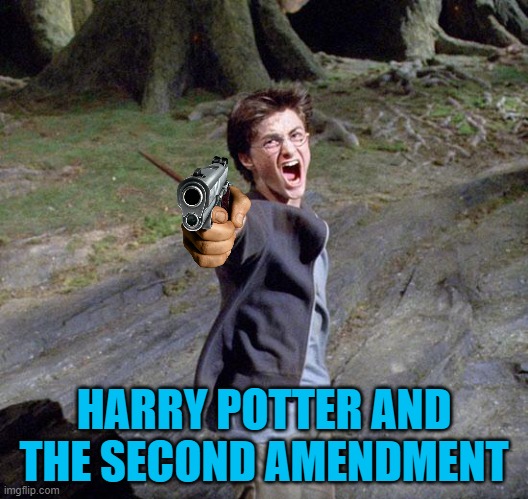 Harry potter | HARRY POTTER AND THE SECOND AMENDMENT | image tagged in harry potter | made w/ Imgflip meme maker