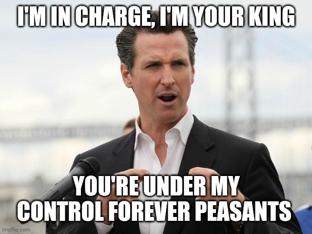 gavin newsome | I'M IN CHARGE, I'M YOUR KING; YOU'RE UNDER MY CONTROL FOREVER PEASANTS | image tagged in gavin newsome | made w/ Imgflip meme maker