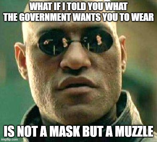 What if i told you | WHAT IF I TOLD YOU WHAT THE GOVERNMENT WANTS YOU TO WEAR; IS NOT A MASK BUT A MUZZLE | image tagged in what if i told you | made w/ Imgflip meme maker