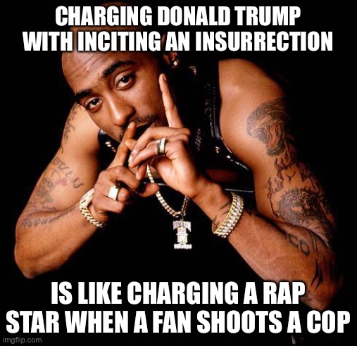 Tupac | CHARGING DONALD TRUMP WITH INCITING AN INSURRECTION; IS LIKE CHARGING A RAP STAR WHEN A FAN SHOOTS A COP | image tagged in tupac | made w/ Imgflip meme maker