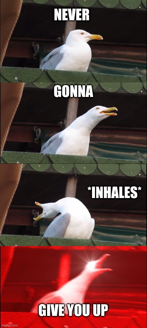 Never gonna let u down | NEVER; GONNA; *INHALES*; GIVE YOU UP | image tagged in memes,inhaling seagull | made w/ Imgflip meme maker