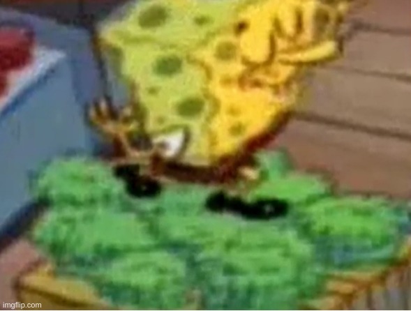 krusty krab foot lettuce | image tagged in memes,funny,wtf,spongebob | made w/ Imgflip meme maker