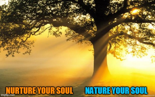 nature | NATURE YOUR SOUL; NURTURE YOUR SOUL | image tagged in nature | made w/ Imgflip meme maker