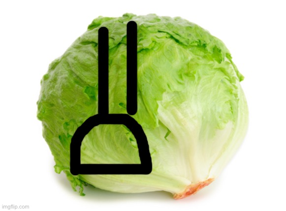 Lettuce  | image tagged in lettuce | made w/ Imgflip meme maker