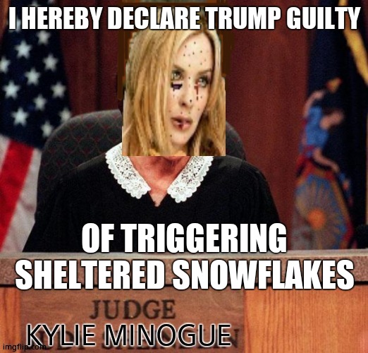 Judge Kylie | I HEREBY DECLARE TRUMP GUILTY OF TRIGGERING SHELTERED SNOWFLAKES | image tagged in judge kylie | made w/ Imgflip meme maker