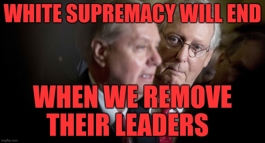 Mitch McConnell and Lindsey Graham | WHITE SUPREMACY WILL END; WHEN WE REMOVE   THEIR LEADERS | image tagged in mitch mcconnell and lindsey graham | made w/ Imgflip meme maker