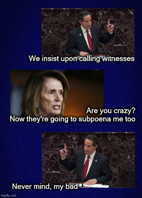 Witnesses! nevermind |  We insist upon calling witnesses; Are you crazy? Now they're going to subpoena me too; Never mind, my bad | image tagged in politics | made w/ Imgflip meme maker