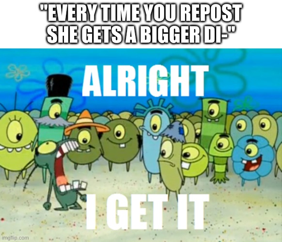 how many of those did i see? | "EVERY TIME YOU REPOST SHE GETS A BIGGER DI-" | image tagged in memes,funny,bruh,spongebob,plankton | made w/ Imgflip meme maker