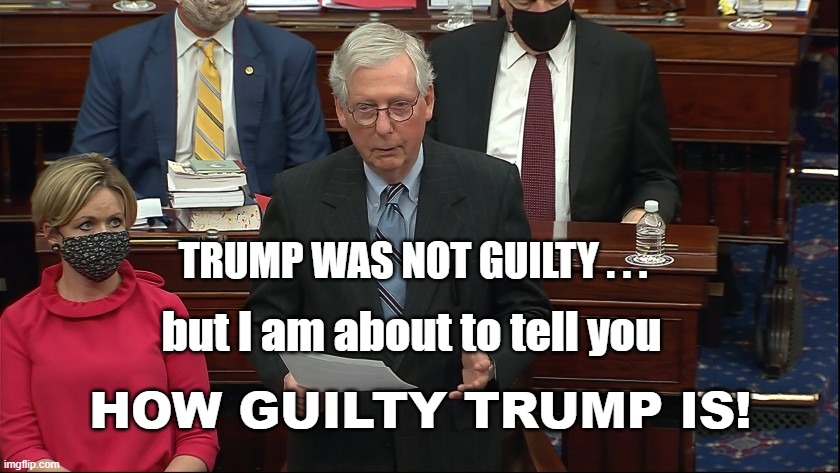 I play both sides of the fence So no one will get MAD AT ME | TRUMP WAS NOT GUILTY . . . but I am about to tell you; HOW GUILTY TRUMP IS! | image tagged in politics,political meme,mitch mcconnell,senate | made w/ Imgflip meme maker