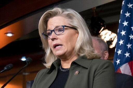 Liz Cheney Blank Meme Template