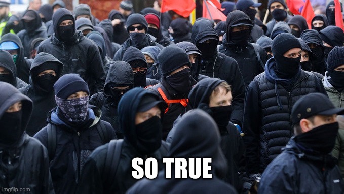 Antifa declared terrorist group | SO TRUE | image tagged in antifa declared terrorist group | made w/ Imgflip meme maker