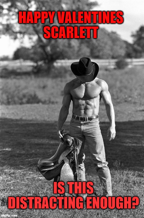 Sexy Cowboy | HAPPY VALENTINES
SCARLETT; IS THIS DISTRACTING ENOUGH? | image tagged in sexy cowboy | made w/ Imgflip meme maker
