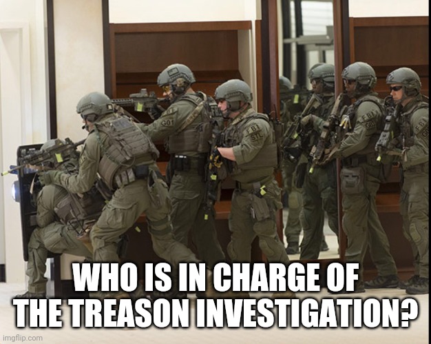 FBI SWAT | WHO IS IN CHARGE OF THE TREASON INVESTIGATION? | image tagged in fbi swat | made w/ Imgflip meme maker
