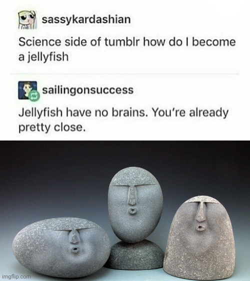 Jellyfish | image tagged in oof stones,oof,funny,memes,roasts,roast | made w/ Imgflip meme maker