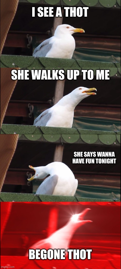 BEGONE THOT | I SEE A THOT; SHE WALKS UP TO ME; SHE SAYS WANNA HAVE FUN TONIGHT; BEGONE THOT | image tagged in memes,inhaling seagull | made w/ Imgflip meme maker