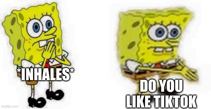Spongebob *Inhale* Boi | *INHALES* DO YOU LIKE TIKTOK | image tagged in spongebob inhale boi | made w/ Imgflip meme maker
