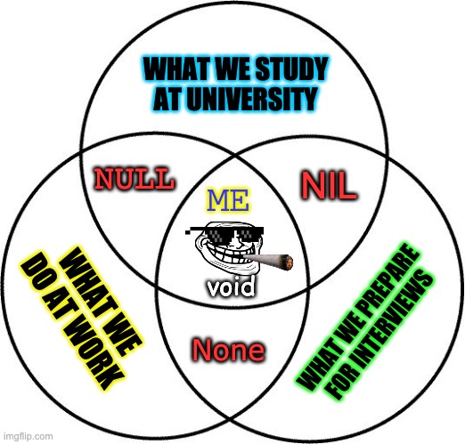 Software Engineer Venn Diagram | WHAT WE STUDY AT UNIVERSITY; NULL; NIL; ME; void; WHAT WE DO AT WORK; WHAT WE PREPARE FOR INTERVIEWS; None | image tagged in venn diagram | made w/ Imgflip meme maker