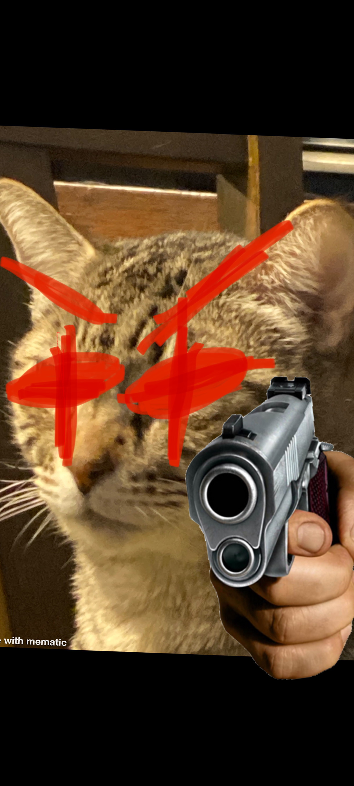 High Quality Cat angry Blank Meme Template