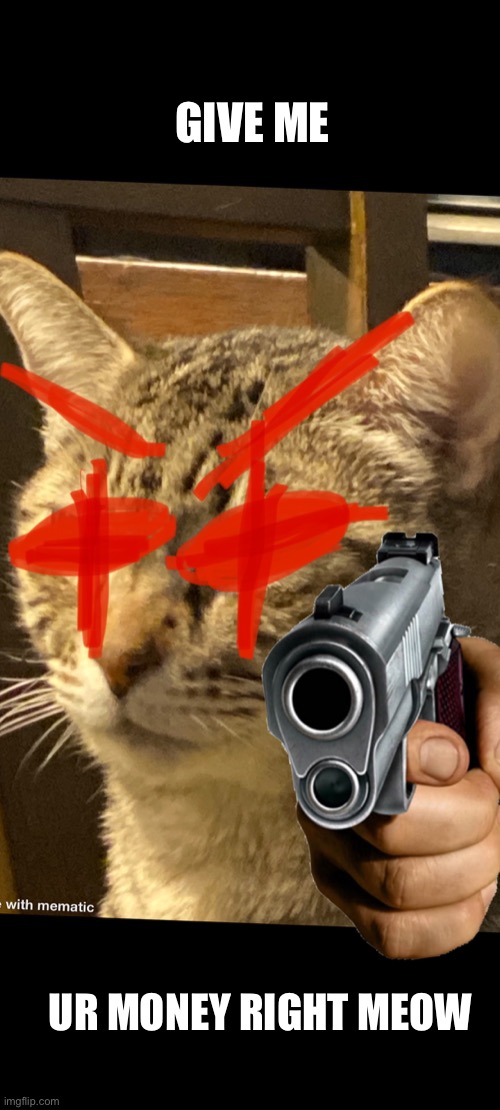 Cat angry | GIVE ME; UR MONEY RIGHT MEOW | image tagged in cat angry | made w/ Imgflip meme maker