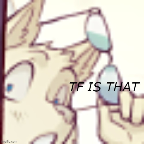 new temp | TF IS THAT | made w/ Imgflip meme maker