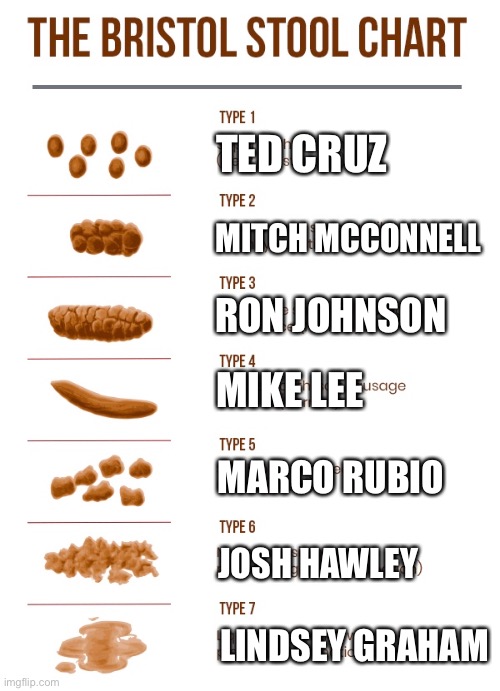 The Different Stypes of Poop | TED CRUZ; MITCH MCCONNELL; RON JOHNSON; MIKE LEE; MARCO RUBIO; JOSH HAWLEY; LINDSEY GRAHAM | image tagged in ted cruz,mitch mcconnell,marco rubio,lindsey graham,donald trump | made w/ Imgflip meme maker