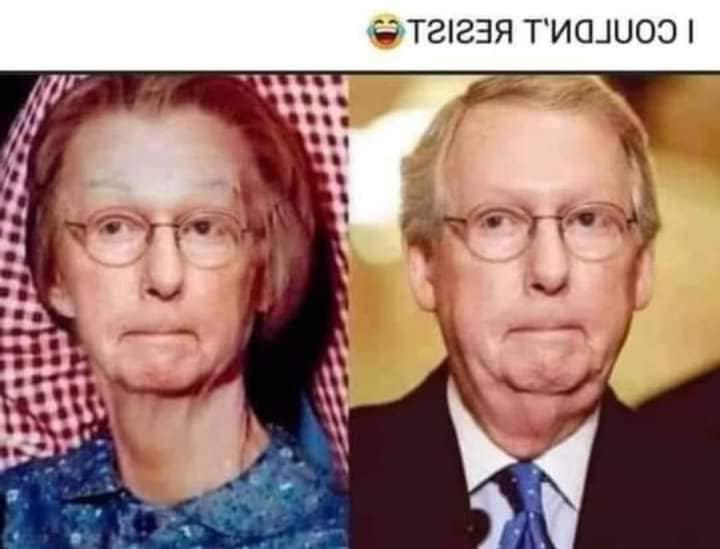 High Quality Mitch McConnell Blank Meme Template