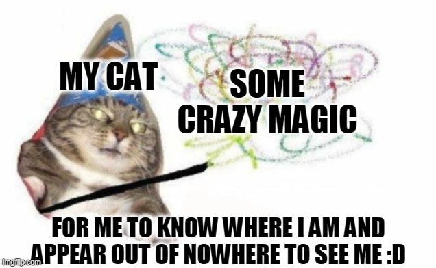Woosh cat |  MY CAT; SOME CRAZY MAGIC; FOR ME TO KNOW WHERE I AM AND APPEAR OUT OF NOWHERE TO SEE ME :D | image tagged in woosh cat | made w/ Imgflip meme maker