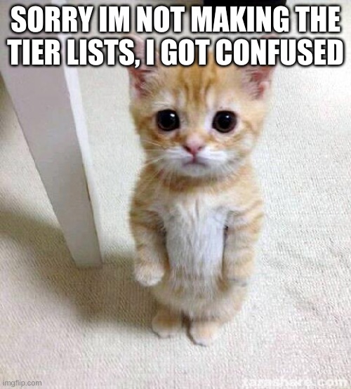Cute Cat Meme | SORRY IM NOT MAKING THE TIER LISTS, I GOT CONFUSED | image tagged in memes,cute cat | made w/ Imgflip meme maker
