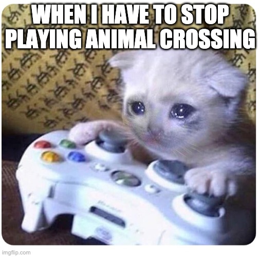 Sad cat Xbox | WHEN I HAVE TO STOP PLAYING ANIMAL CROSSING | image tagged in sad cat xbox | made w/ Imgflip meme maker