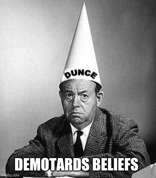 Dunce | DEMOTARDS BELIEFS | image tagged in dunce | made w/ Imgflip meme maker