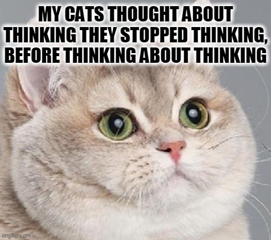 breathing intensifies | MY CATS THOUGHT ABOUT THINKING THEY STOPPED THINKING, BEFORE THINKING ABOUT THINKING | image tagged in breathing intensifies | made w/ Imgflip meme maker