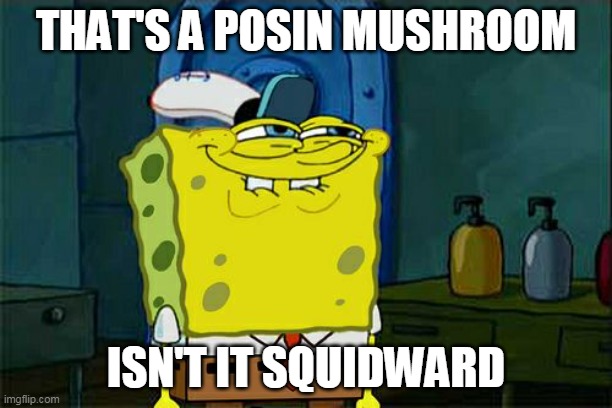 Welp, I guess I die | THAT'S A POSIN MUSHROOM; ISN'T IT SQUIDWARD | image tagged in memes,don't you squidward,mario,posin | made w/ Imgflip meme maker