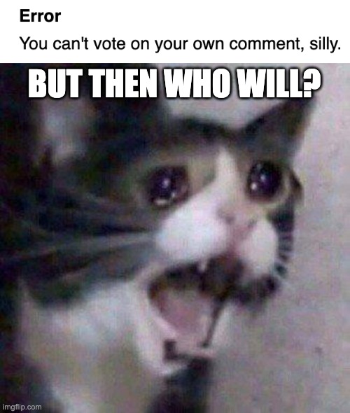 But Then Who Will? |  BUT THEN WHO WILL? | image tagged in screaming cat | made w/ Imgflip meme maker
