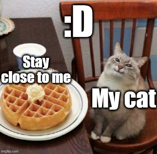 Cat likes their waffle | :D; Stay close to me; My cat | image tagged in cat likes their waffle | made w/ Imgflip meme maker